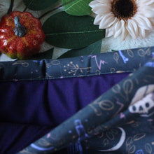 Load image into Gallery viewer, Wicked Whimsy Book Sleeve